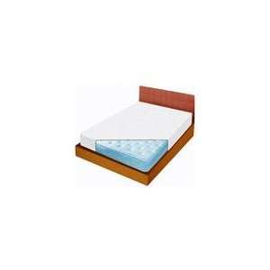  Bed Bug Barrier Mattress Cover for your Twin Bed: Home 