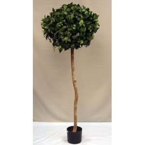 Silk Topiary Trees, Sweet Bay Ball   5 Ft.:  Home & Kitchen