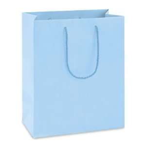  8 x 4 x 10 Cub Light Blue Matte Laminate Bags Health 