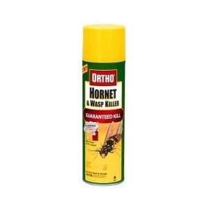  Ortho Hornet & Wasp Killer 15oz: Patio, Lawn & Garden