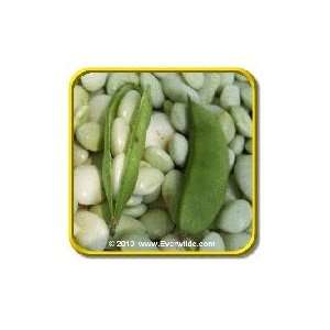  White Dixie Butter Pea   Lima Bean Seeds   Jumbo Seed 