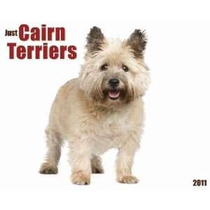  Just Cairn Terriers 2011 Wall Calendar: Office Products