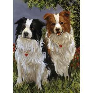  Border Collie Border Patrol Note Cards: Office Products