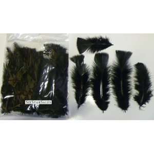   Jet Black Turkey Feathers 75/100 Pcs. 3 5 Long Patio, Lawn & Garden