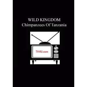  Wild Kingdom   Chimpanzees Of Tanzania Movies & TV