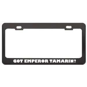 Got Emperor Tamarin? Animals Pets Black Metal License Plate Frame 