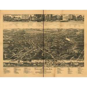  Historic Panoramic Map 1892 Tallapoosa, Ga. Haralson Co 