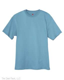 Bulk Lot 72pcs Hanes Blank Tagless T Shirt Wholesale  
