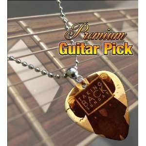  Taking Back Sunday Premium Guitar Pick Necklace: Musical 