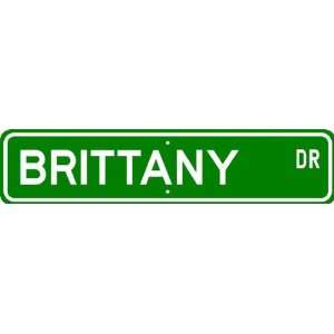 Brittany STREET SIGN ~ High Quality Aluminum ~ Dog Lover  