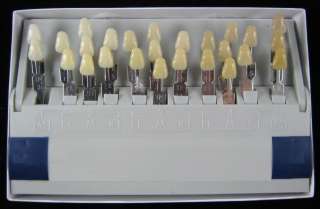 New Dental Bleached Shade Guide 29 shades  