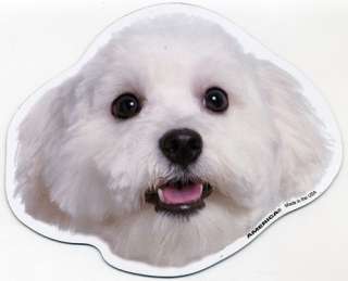 Maltese Dog Head Car Magnet / FREE SHIPPING FOR 2ND+ ITEM(S)  