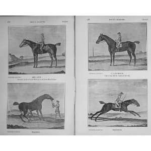  1910 Charles Bunbury Goldfinger Horse Tortoise Pilgrim 