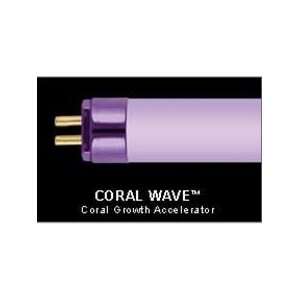   Wavepoint Coral Wave 24w 21 Ho T5 Coral Growth Lamp: Pet Supplies