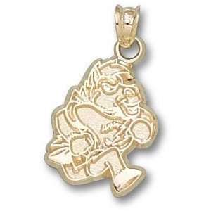 Middle Tennessee State Mascot 5/8 Charm/Pendant  Sports 