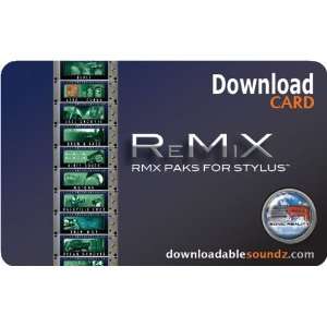    Sonic Reality ReMiX DL Multibox for Stylus RMX Musical Instruments