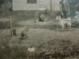 BIZARRE AMAZING 1920s CABINET CARD PHOTO Gas Station MONKEYS Baby 