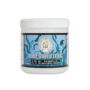   : Soluble Seaweed Extract, 225g (OMRI Organic): Patio, Lawn & Garden