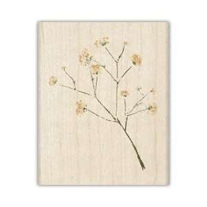   Flower For Scrapbooking, Card Making & Craft Projects