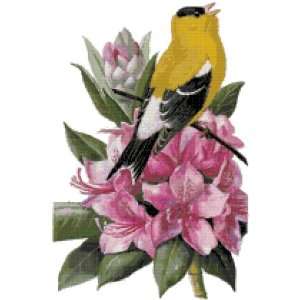 Washington State Bird and Flower Counted Cross Stitch Pattern 