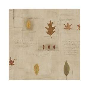  Treasures of Autumn Camouflage Wallpaper by Village in 
