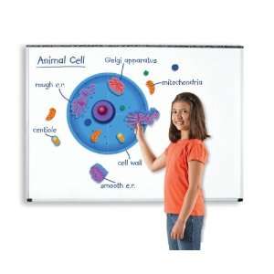  Learning Resources Magnetic Animal Cells   18 Pieces 
