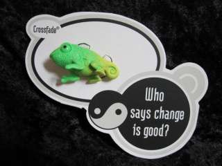   High Jackson Jekylls pet Crossfade NEW chameleon lizard green/yellow