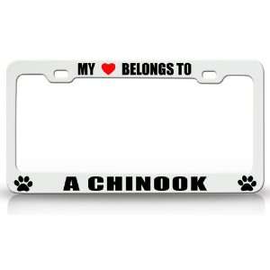 MY HEART BELONGS TO A CHINOOK Dog Pet Steel Metal Auto License Plate 