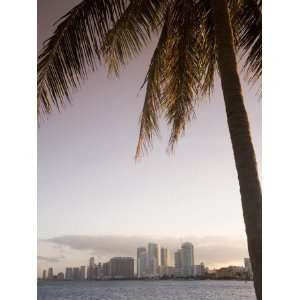  Downtown Miami Skyline, Miami, Florida, United States of 