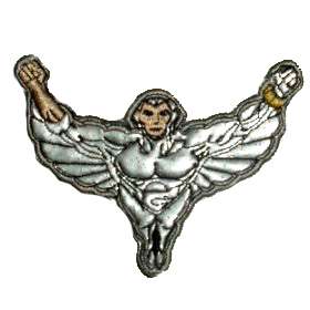 QUICKSILVER Embroidered Patch Great Qualily Silverhawks  