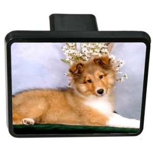 Shetland Sheepdog Trailer Hitch Cover