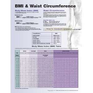  BMI + Waist Circumference Chart   Unmounted Paper 