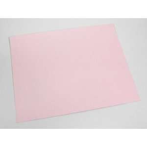    New Pink Poster Board 22x28 Inch Case Pack 50   409434 Electronics