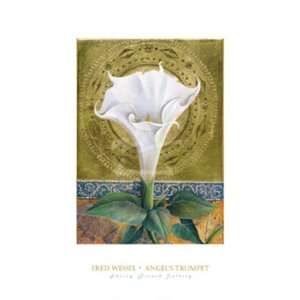  Fred Wessel   Angels Trumpet Size 12x16 by Fred Wessel 