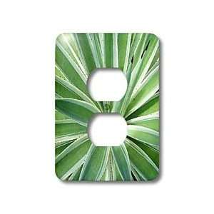   Macro Plant   Cactus Close   Light Switch Covers   2 plug outlet cover