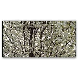  Sky Scapes® Fluorescent light covers In Full Bloom 