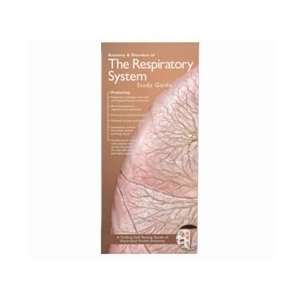 Respiratory System and Disorders Pocket Study Guide   2nd Edition 