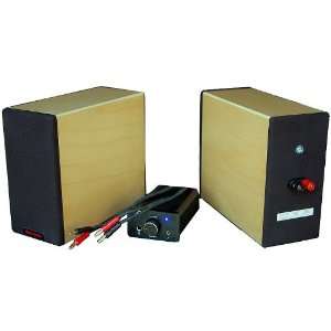  Sampan FTL 50 Watt Stereo Music System: Electronics