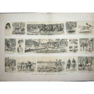   1885 HUNTING NEW FOREST DEERHOUNDS DOGS HORSES SPORT