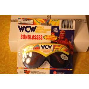  WCW World Championship Wrestling Kids Sunglasses: Toys 