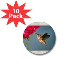    Mini Button (10 Pack) Female Rufous Hummingbird: Everything Else