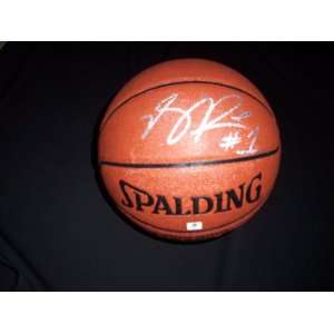 GAI Authentic Derrick Rose Autograph I/O Spalding Basketball  