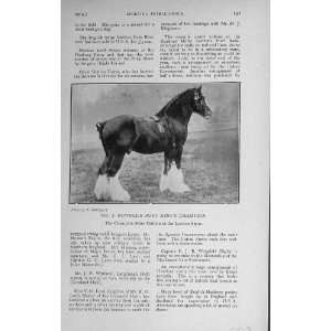  1916 Mr Rowell Bury KingS Champion Stallion Horse Show 