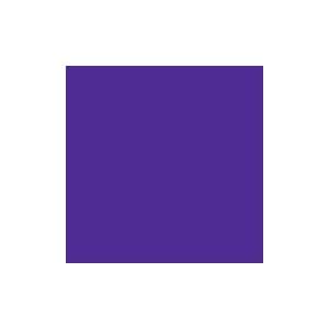  Rosco Fluorescent Sleeve E Colour Deep Lavender 170 48 