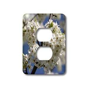 Patricia Sanders Flowers   Flowering Tree Heart   Light Switch Covers 