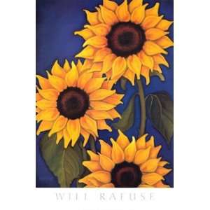  Will Rafuse   Sunflowers Canvas