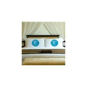   Topaz Blue Magical Monogram Pillow Case Set