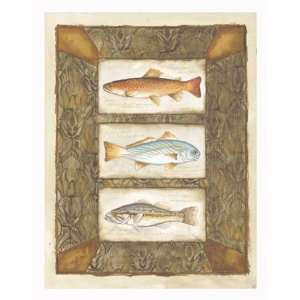   Sport Fish II   Poster by Mary Beth Zeitz (12.5x15.5): Home & Kitchen