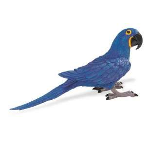  Safari Hyacinth Macaw Toys & Games