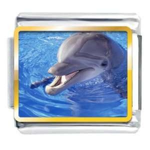  Smiling Dolphin Animal Photo Italian Charms Bracelet Link 
